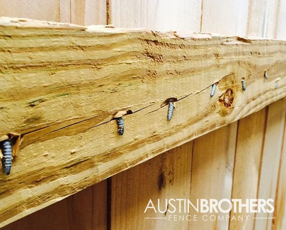 Close-up of screws splitting a cracked wooden fence rail.