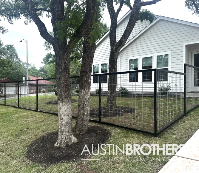 Black iron bull panel fence separating two trees in an Austin home's front yard.