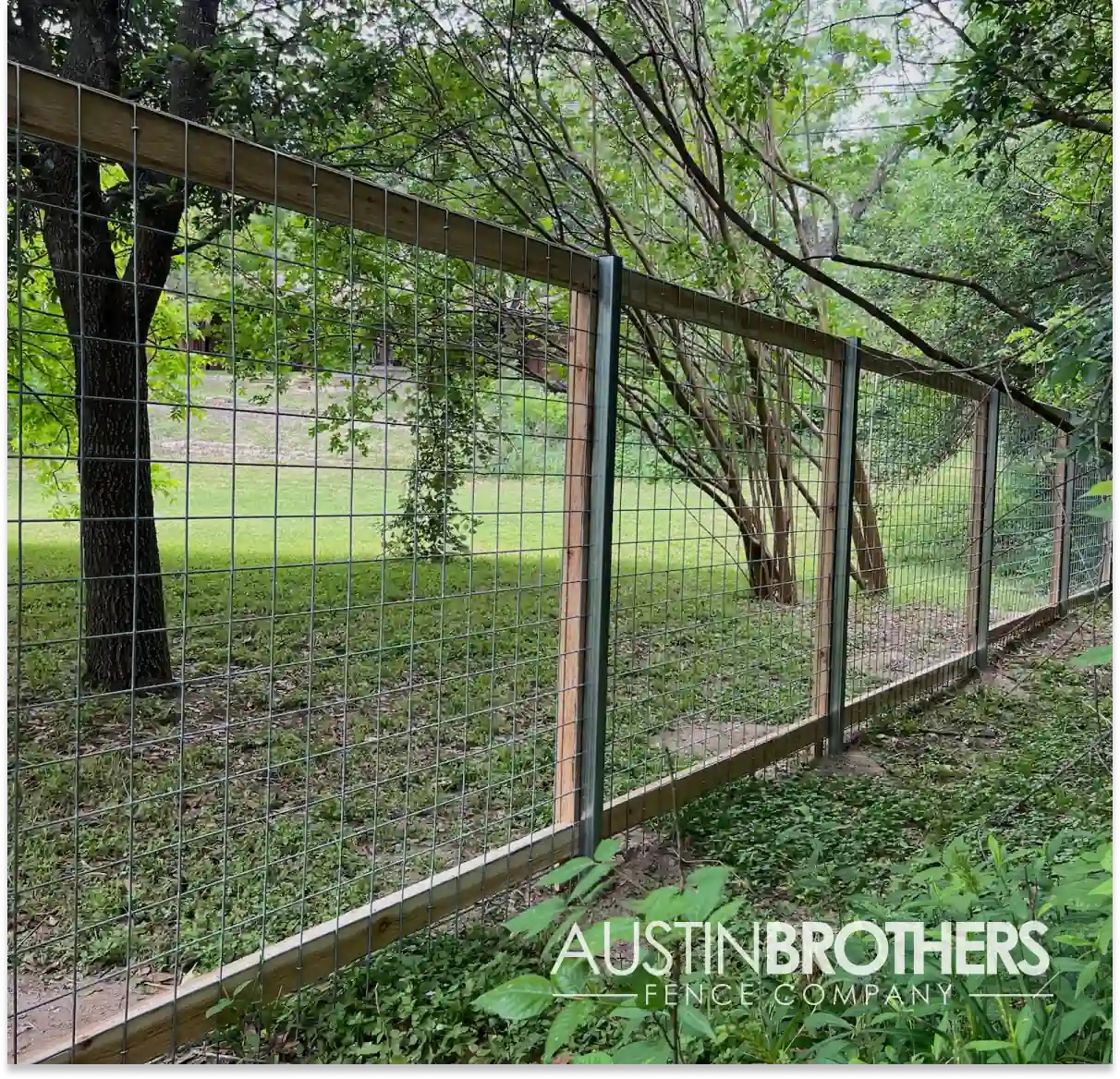 Wooden bull panel fence running through a grassy, tree-lined back yard.