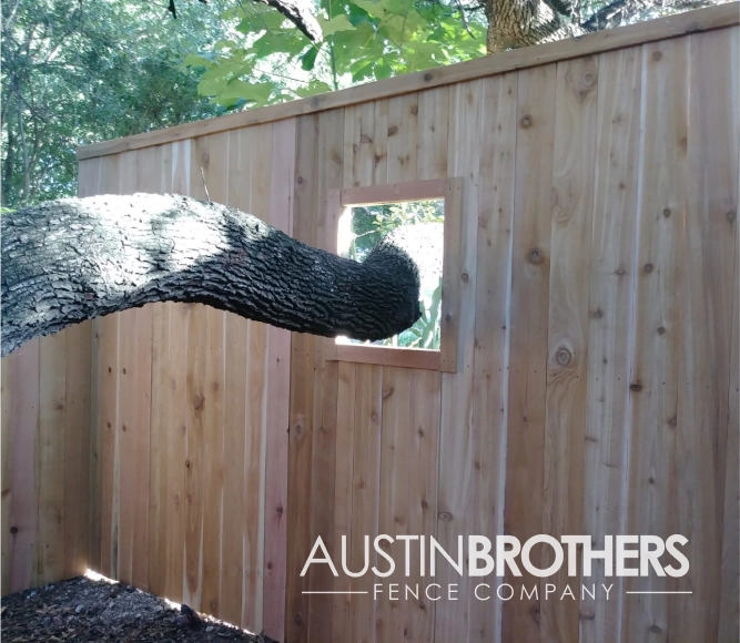 Capped vertical fence with a hole to allow for the growth of a tree.