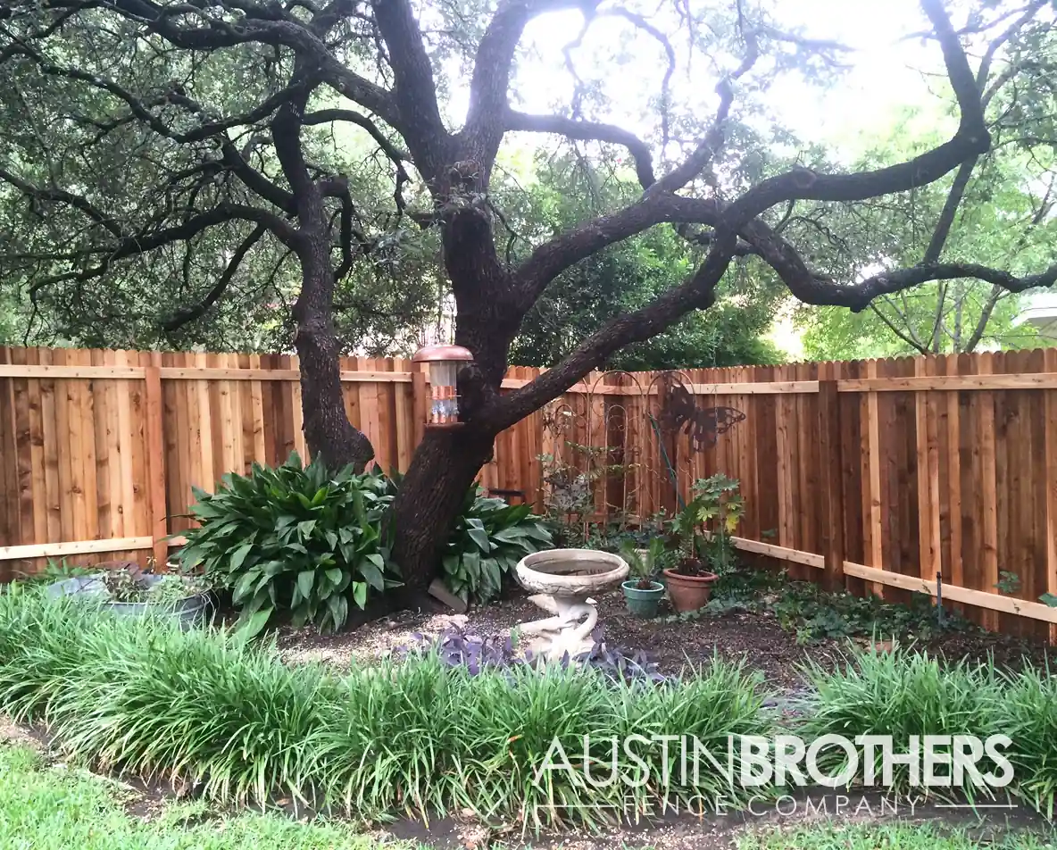 Vertical wooden fence creating a corner around a large tree and garden area.