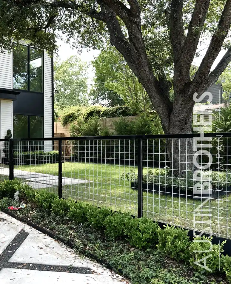 Black iron bull panel fence in the front yard of an Austin, Texas home.